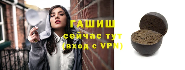твердый Гусев