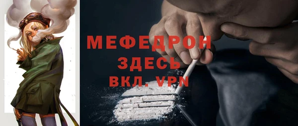 твердый Гусев