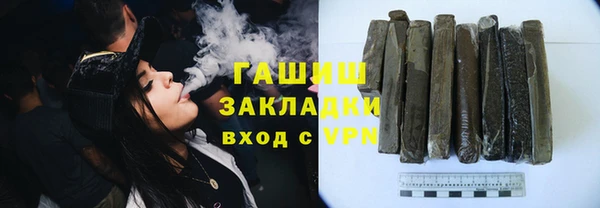 твердый Гусев