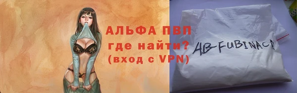 твердый Гусев