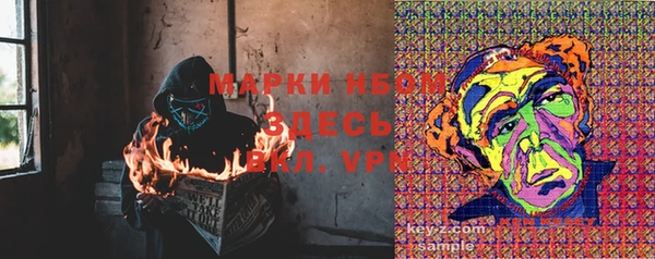 твердый Гусев