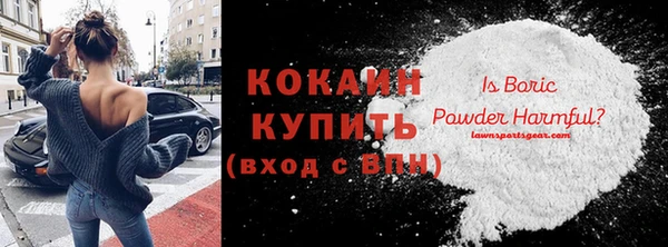 твердый Гусев