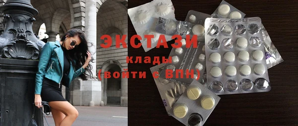 твердый Гусев