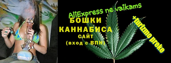 PSILOCYBIN Гусиноозёрск