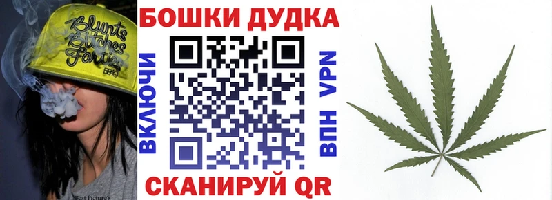 Купить где  Сокол  Марихуана сатива 